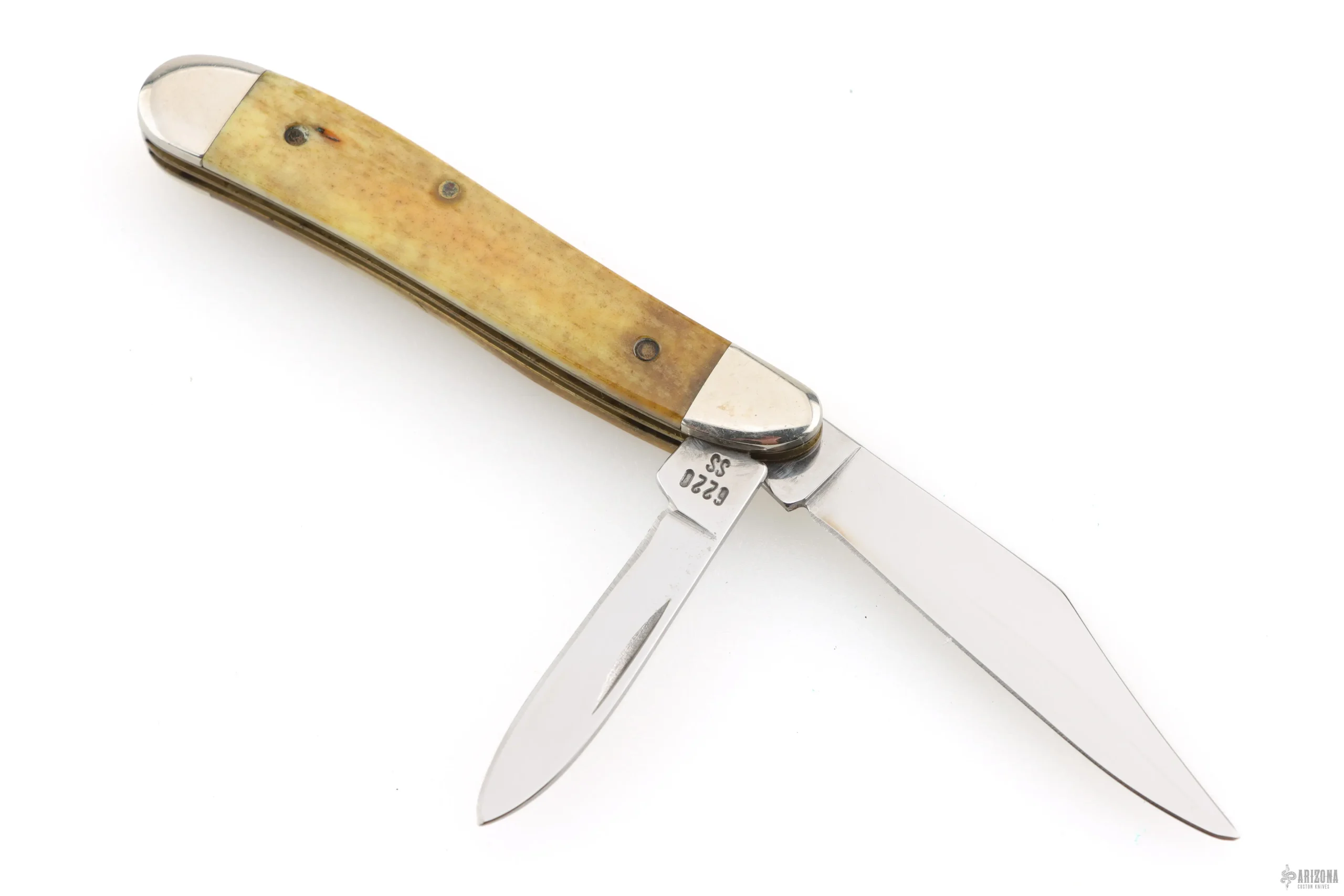 6220SS Peanut - Appaloosa Bone 1995