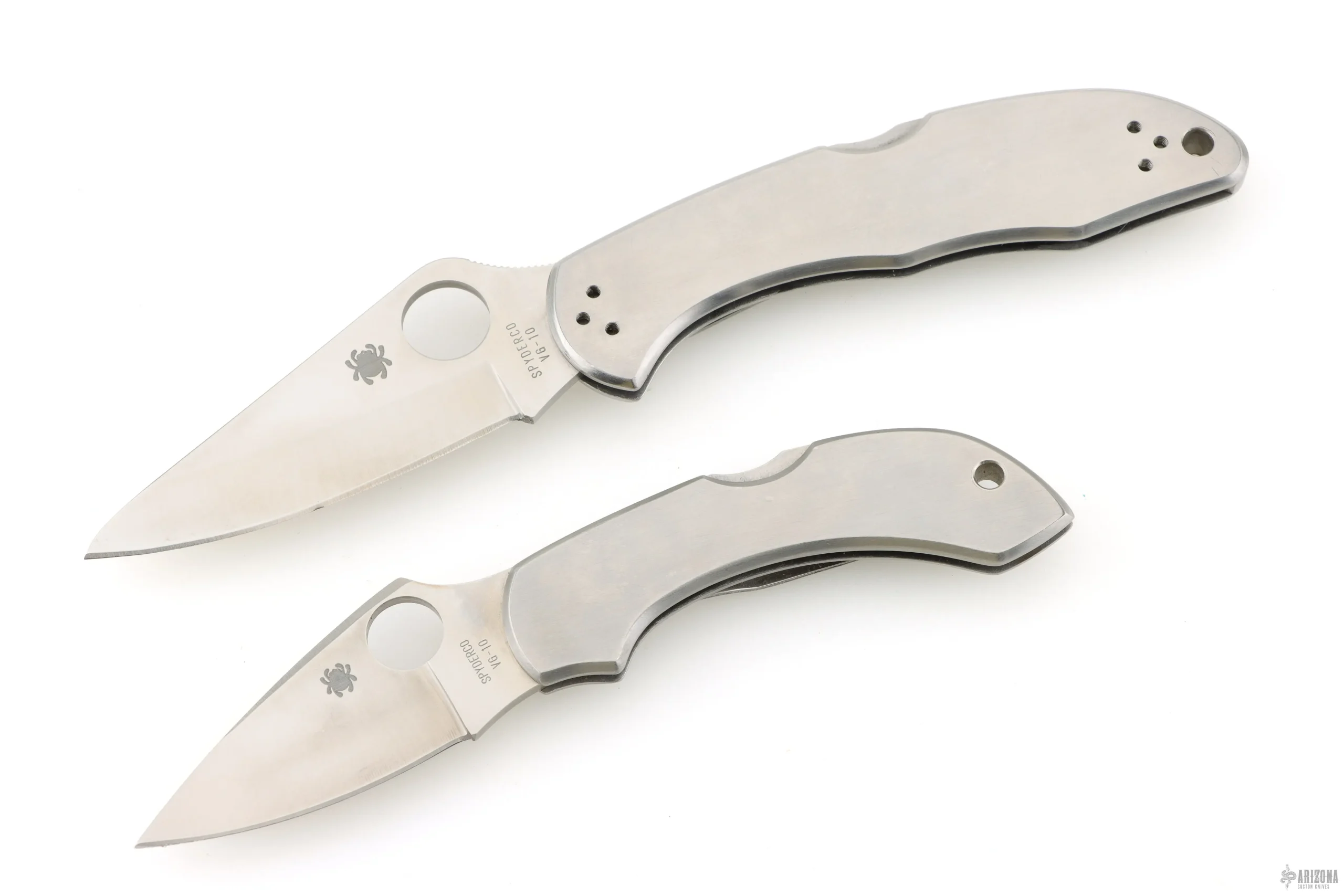 Dragonfly and Endura Stainless Steel Lockbacks