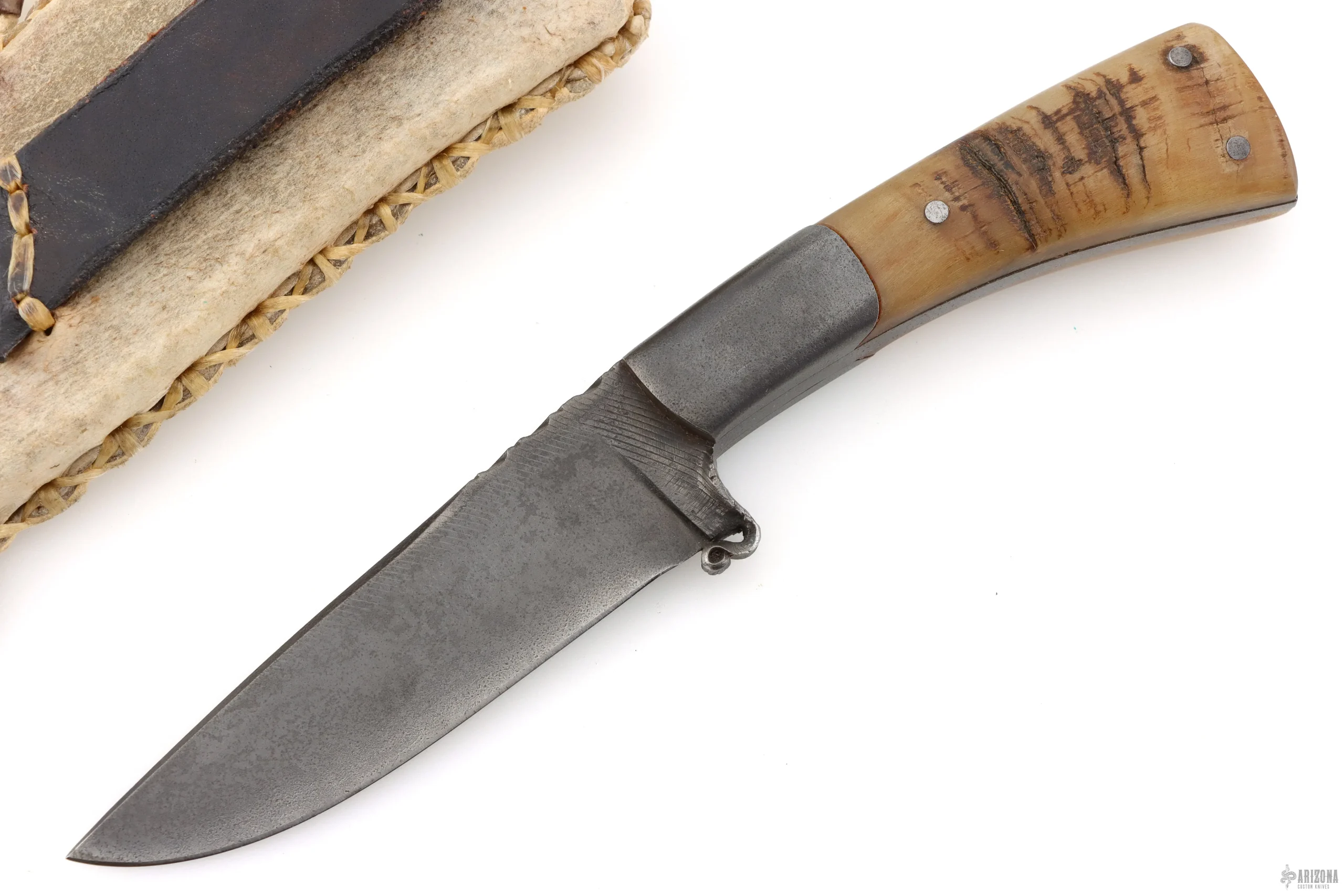 File Hunter - Sheep Horn