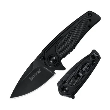 Kershaw Spoke Folding Knife 2 Inch Plain Black Oxide Coated Drop Point KS1313BLK