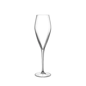 Luigi Bormioli Atelier Champagne Glasses (Set of 6) | 9.25oz 