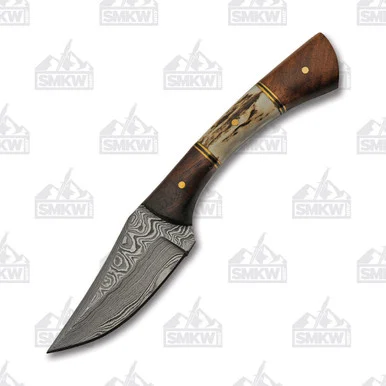 SZCO Supplies Patch Stag-Wood Fixed Blade Knife 3in Damascus Skinner DM1269